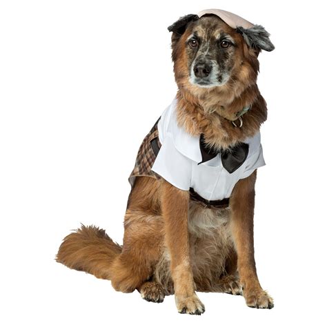 dog grandpa costume